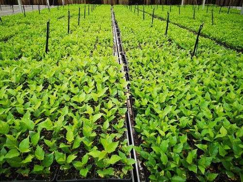 教學科研 理學與信息科學學院 理信