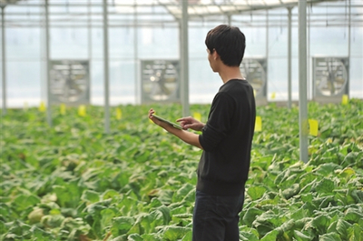 振興鄉村 國家發改委點贊貴州農業云、廣東農村超高速無線局域網