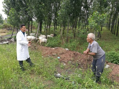 平頂山石龍區(qū)強化科技服務(wù) 助推農(nóng)業(yè)增效農(nóng)民增收