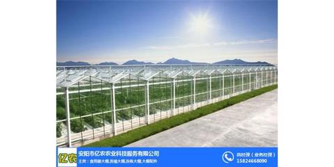 鋼架大棚廠_河北鋼架大棚_億農農業(yè)