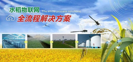 中外農業(yè)大數(shù)據(jù)企業(yè)對壘,誰能更勝一籌?