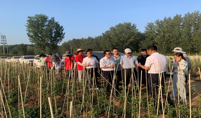 河南省果蔬產(chǎn)業(yè)科技特派員服務團(睢縣)調研洛寧蘋果產(chǎn)業(yè)并開展科技服務