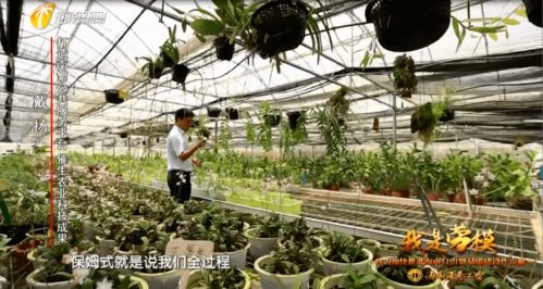 我是勞模丨南繁 保姆 戴揚 打造南繁公共服務平臺 催生更多更好的農業(yè)科技成果