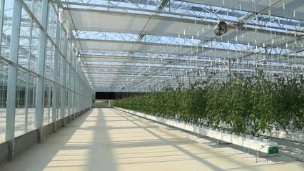 三亞美麗鄉(xiāng)村建設-共享農莊(一)