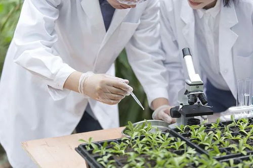 農(nóng)業(yè)農(nóng)村技術(shù)人才庫 實(shí)現(xiàn) 人盡其才,才盡其用 的路徑