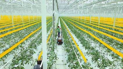 物聯(lián)網(wǎng)技術助力智慧農業(yè)產(chǎn)業(yè)化發(fā)展