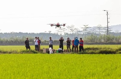 農業(yè)的未來在哪里?