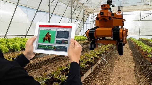 未來農(nóng)村的發(fā)展格局:養(yǎng)老服務(wù),高科技農(nóng)業(yè),機(jī)械化,自動化