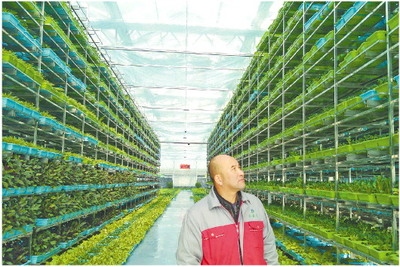 工廠化生產(chǎn) 蔬菜&ldquo;住&rdquo;上十層&ldquo;樓&rdquo;