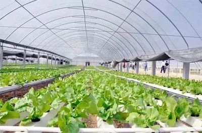 【政策解讀】農業農村部關于發展現代設施農業的指導意見