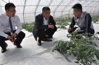 &ldquo;造血&rdquo;扶貧模式 帶動(dòng)貧困戶產(chǎn)業(yè)脫貧