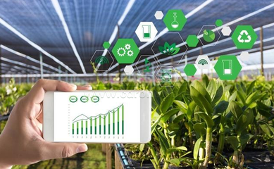 山地農(nóng)業(yè)發(fā)展方向,智慧農(nóng)業(yè)助力山地生態(tài)。