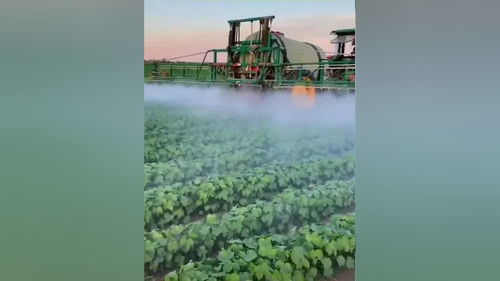 食品銷售,商超對(duì)接等農(nóng)業(yè)相關(guān)的業(yè)務(wù) 并友情關(guān)聯(lián)相關(guān)部門投資農(nóng)業(yè)基礎(chǔ)建設(shè),合作一帶一路國(guó)際業(yè)務(wù),公司的服務(wù)宗旨在于合作共贏