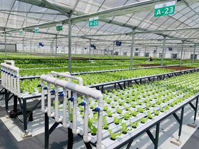 補貼上百萬!數字農業工廠:智能化、自動化的農業生產新模式