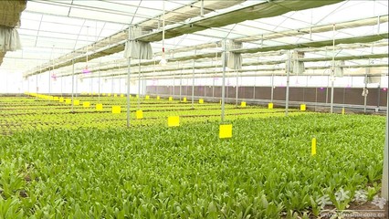 【我們這十年】科技創新助力秦州經濟高質量發展(圖)